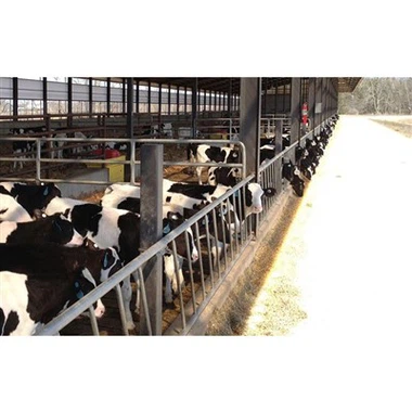 Metalramme kvægstald